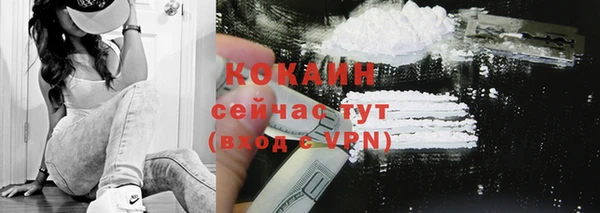 ГАЛЛЮЦИНОГЕННЫЕ ГРИБЫ Пересвет