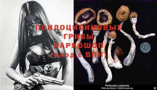 экстази Пестово