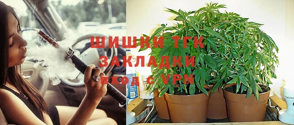 ГАЛЛЮЦИНОГЕННЫЕ ГРИБЫ Пересвет