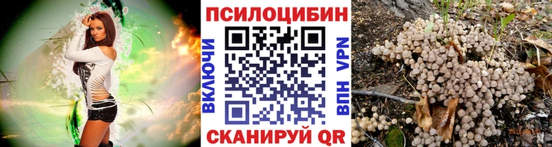 Галлюциногенные грибы GOLDEN TEACHER  кракен вход  Березники 