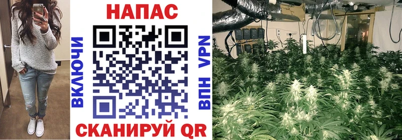 Бошки марихуана VHQ  Березники 